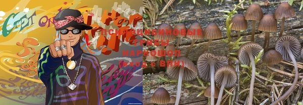молекула духа Медногорск